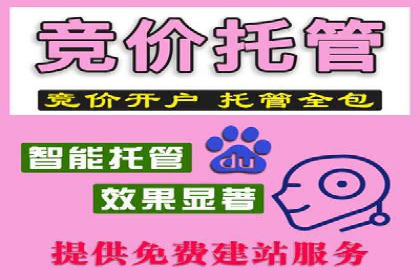 搜索引擎营销（SEM）的经典案例分析